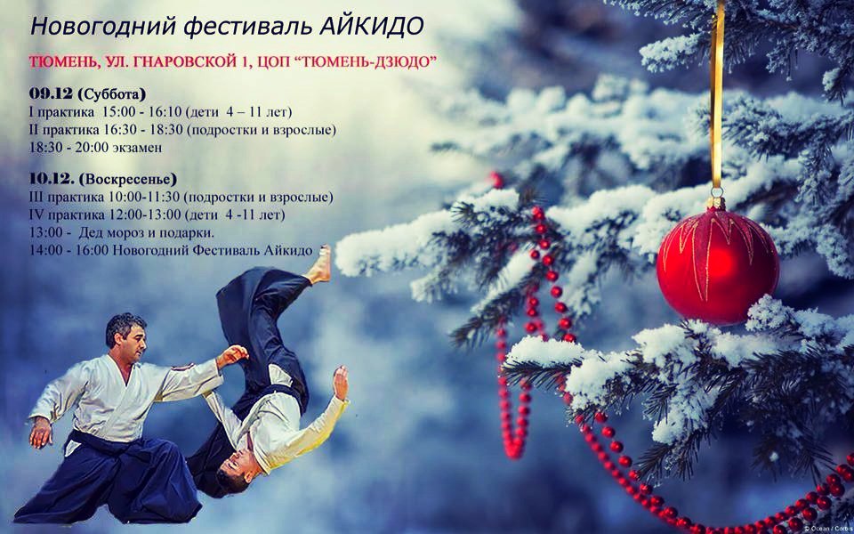 айкидо тюмень